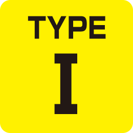 TYPE1