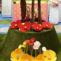 人工芝CTR30施工写真