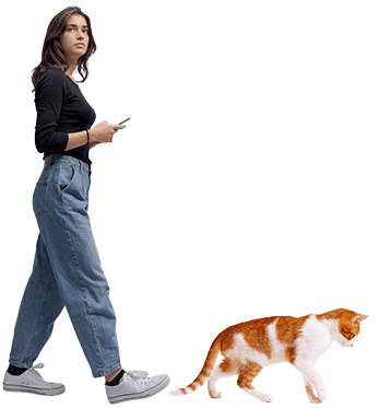 女性と猫