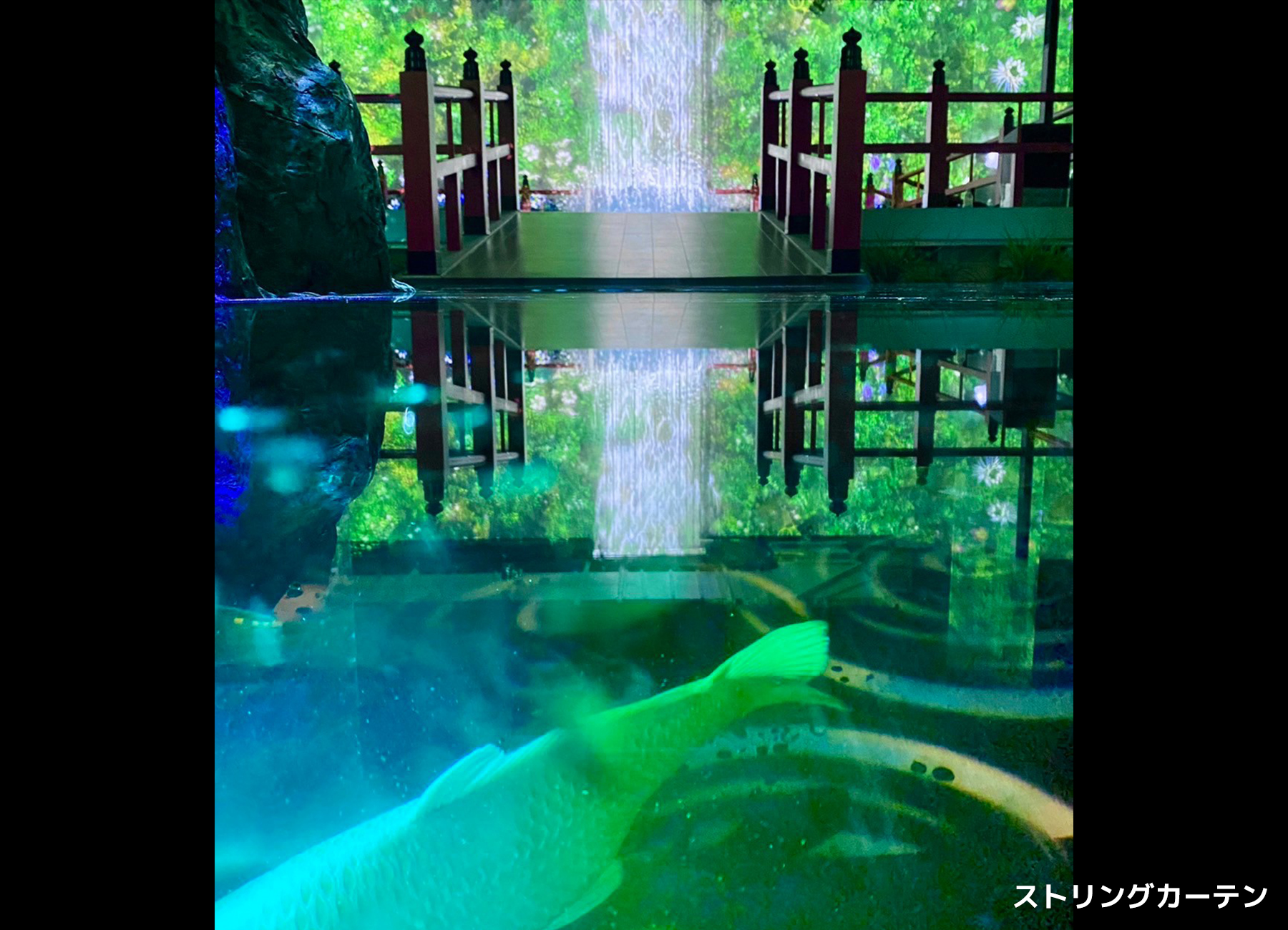 ^ANAE AgA_02