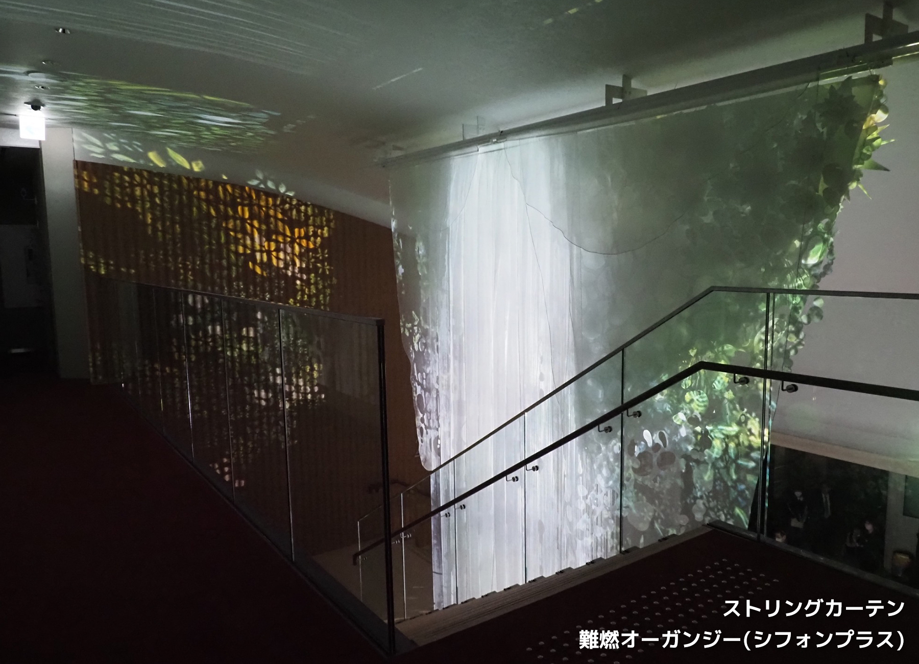 jR VA^[Aoi_02