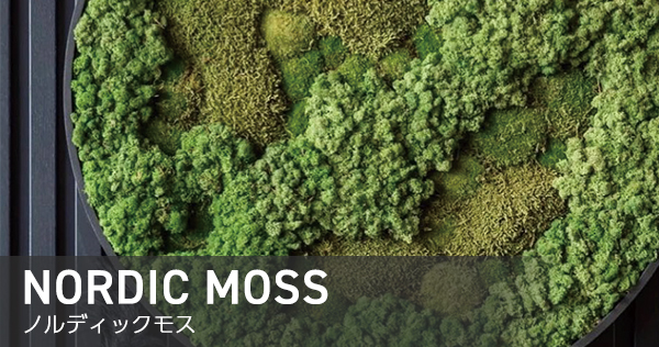 ノルディックモス